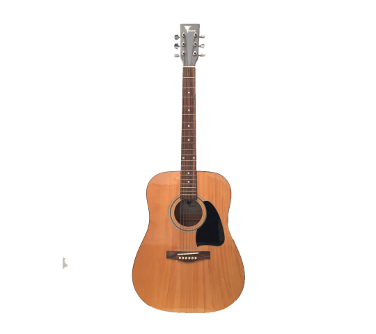 Akustik Gitar EAGLE FAW-701