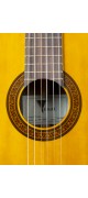 Elektro Klasik Gitar EAGLE FAC-604EQ