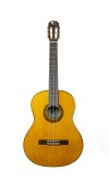 Klasik Gitar EAGLE FAC-604 Klasik Gitar EAGLE FAC-604